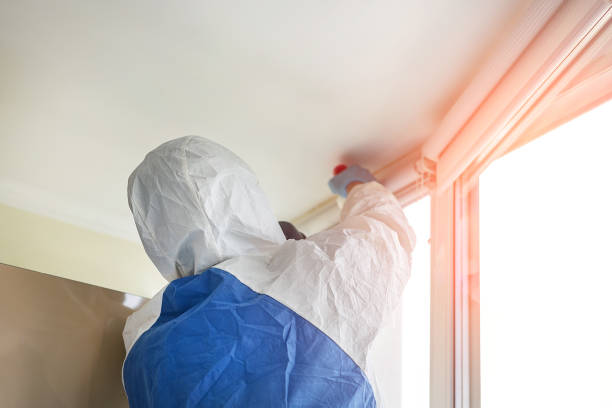 Mold Odor Removal Services in Orion, IL