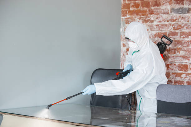 Best Dehumidification Services  in Orion, IL