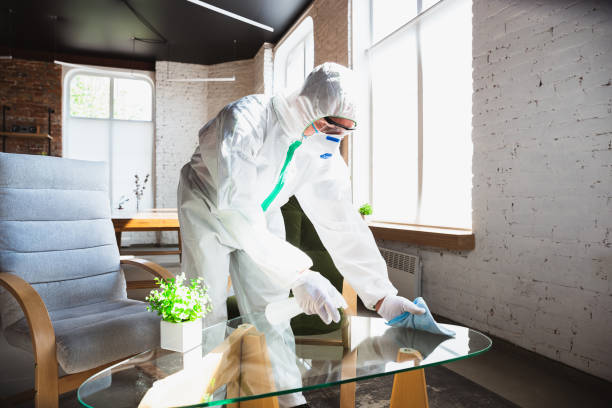 Best Commercial Mold Inspection  in Orion, IL