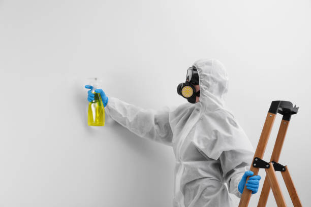 Mold Remediation for Vacation Homes in Orion, IL